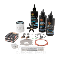 Evinrude E-TEC 150-175hp 2 Stroke Service Kit with Anodes & Oils (OSSK66AO)