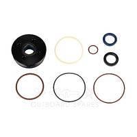 Evinrude E-TEC 75-115hp Trim & Tilt Seal Kit (OSTTK985)