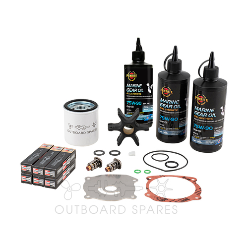 Evinrude E-TEC 150-175hp 2 Stroke Service Kit with Oils (OSSK66O)